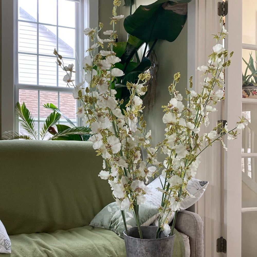 West Elm Orchid stems